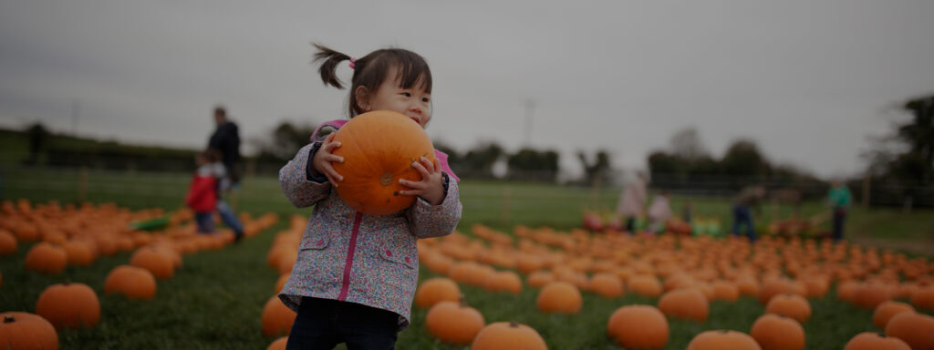 Upcoming Local Fall Activities