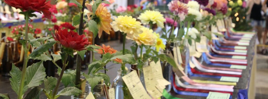 flowers at county fair |10 Reasons County Fairs are Important
