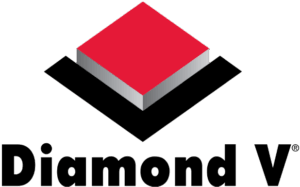 DiamondV