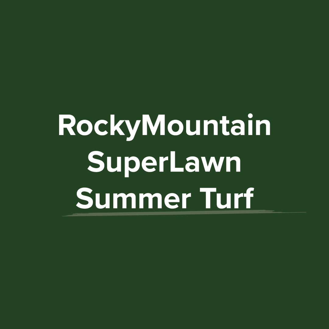 Summer-Turf